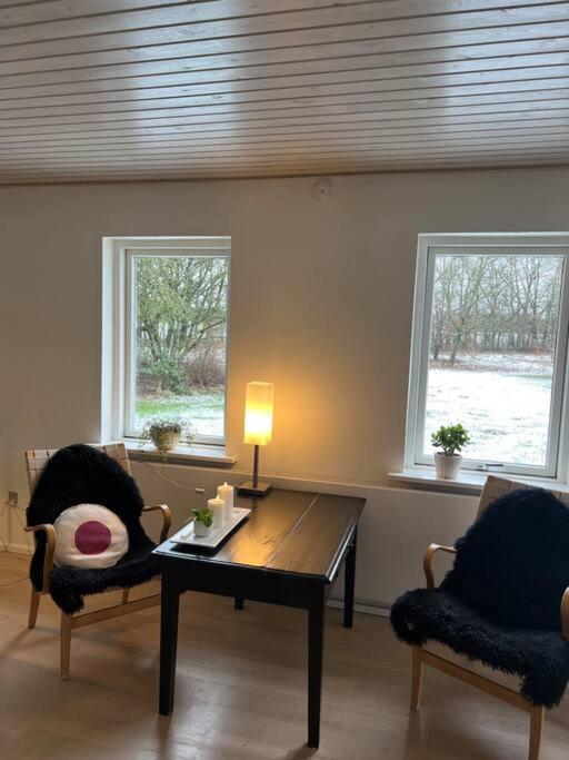 Skont Hus Pa Landet Taet Pa Billund Vila Give Exterior foto