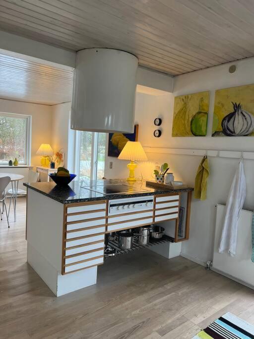 Skont Hus Pa Landet Taet Pa Billund Vila Give Exterior foto
